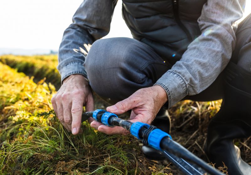 Drainage System Repair