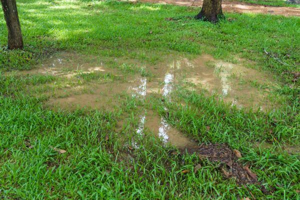 Cost of Storm Water Drainage Service in Asheville