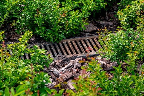Cost of Underground Drainage Service in Asheville