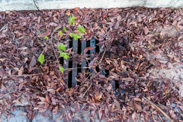 Cost of Yard Drain Unclogging in Asheville