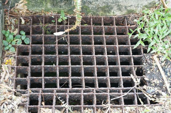 Cost of Yard Drain Cleaning in Asheville