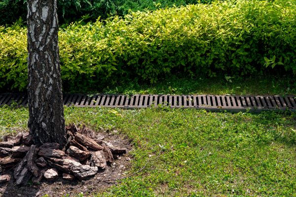 Cost of Garden Drainage Installation in Asheville