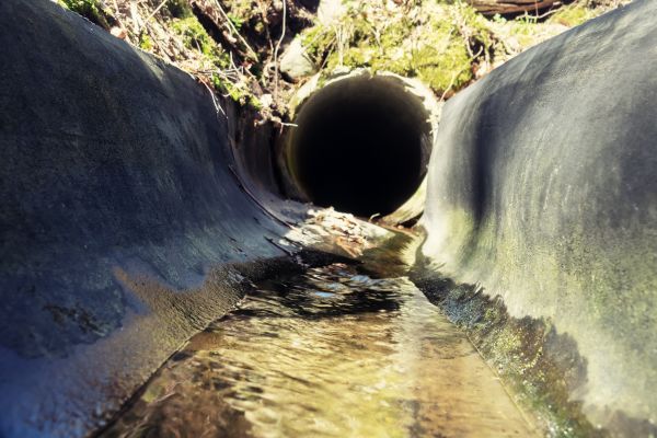 Drainage Swale Installation in Asheville
