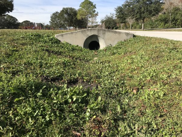 Cost of Swale Drainage Service in Asheville